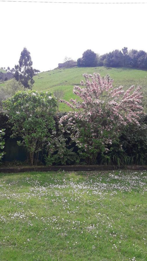 Casina Verde Manzana Villaviciosa  Esterno foto
